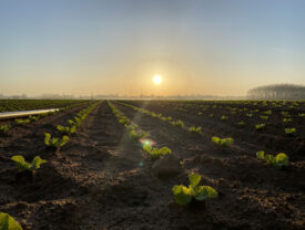 Machines agricoles sur mesure