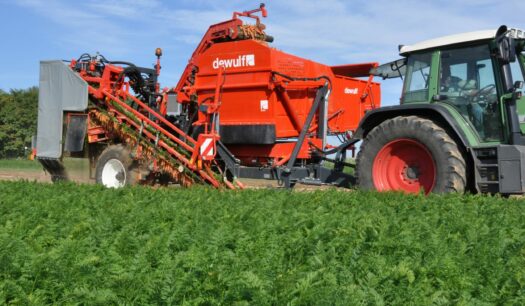 Récolteuse Dewulf